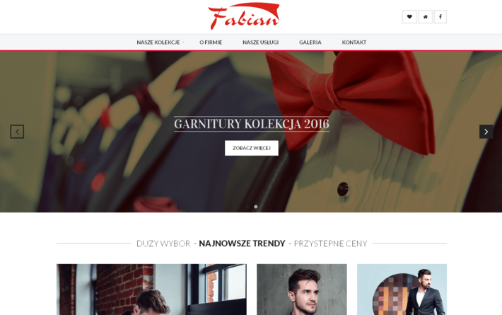Strony WWW, aplikacje i sklepy internetowe dla Katowic - portfolio -  Fabian Moda